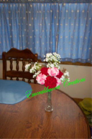 carnations_0353.jpg